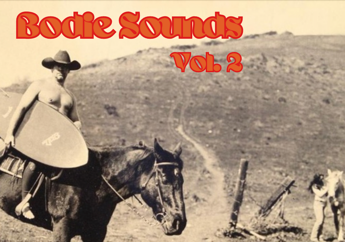 Bodie Sounds Vol. 2